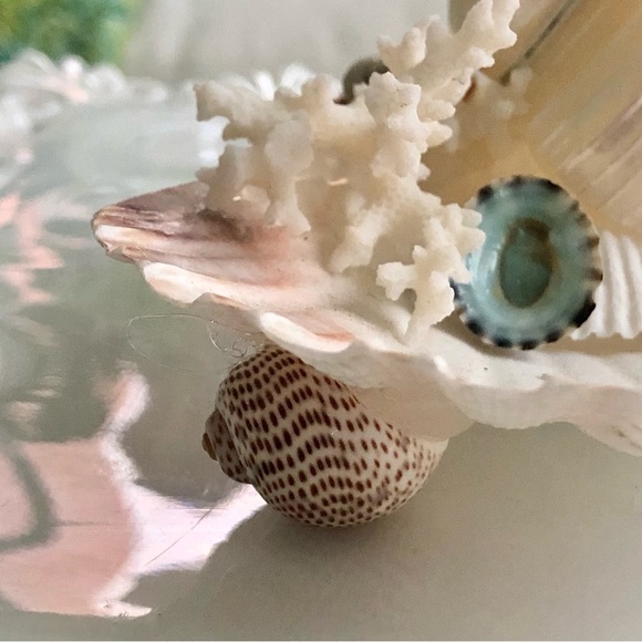Just In! NEW Scallop Seashell Ring Holder - Picture 3 of 5
